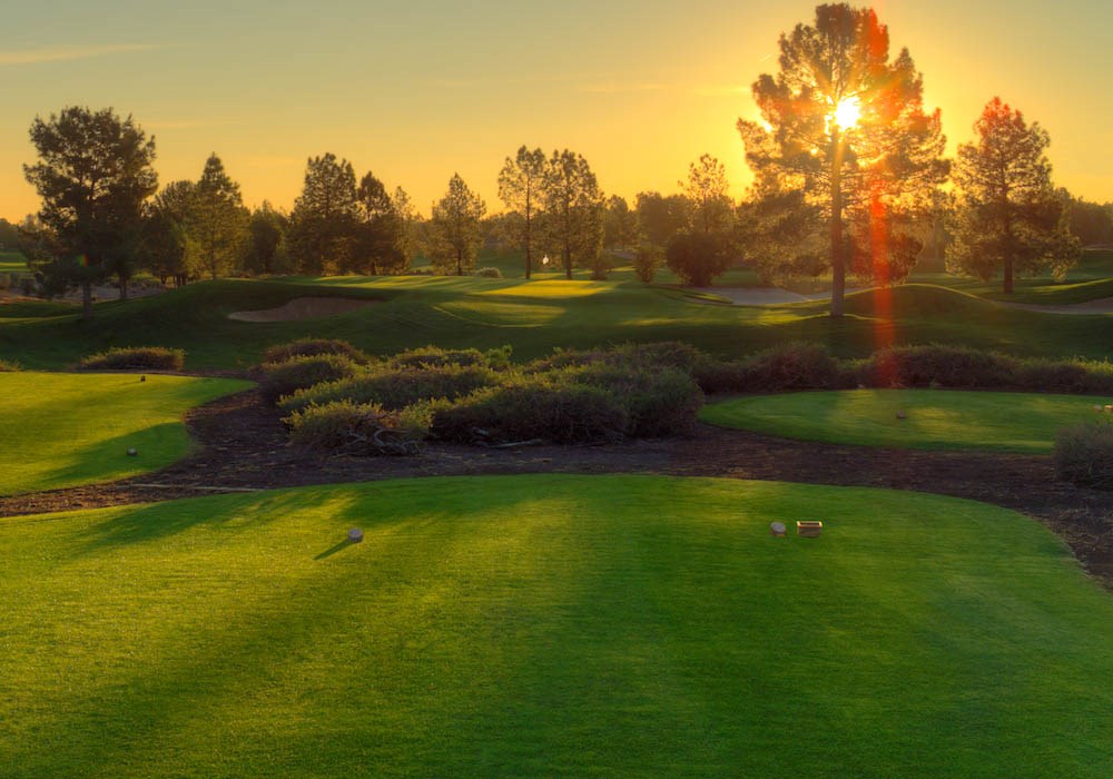 Foursome at Raven Golf Club - Phoenix